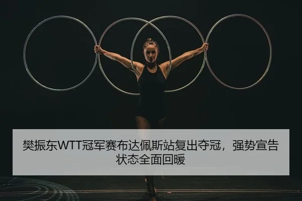 樊振东WTT冠军赛布达佩斯站复出夺冠，强势宣告状态全面回暖 - PG