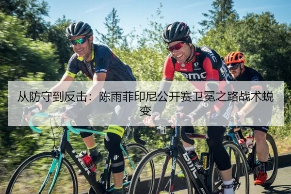 从防守到反击：陈雨菲印尼公开赛卫冕之路战术蜕变